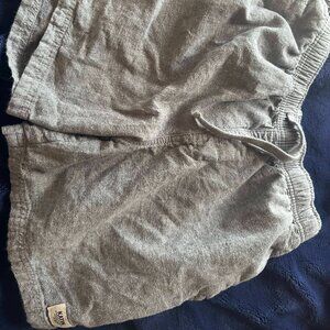 Gray Katin Shorts (Medium)
